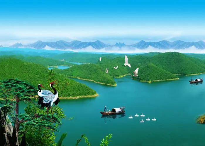 全自动高端